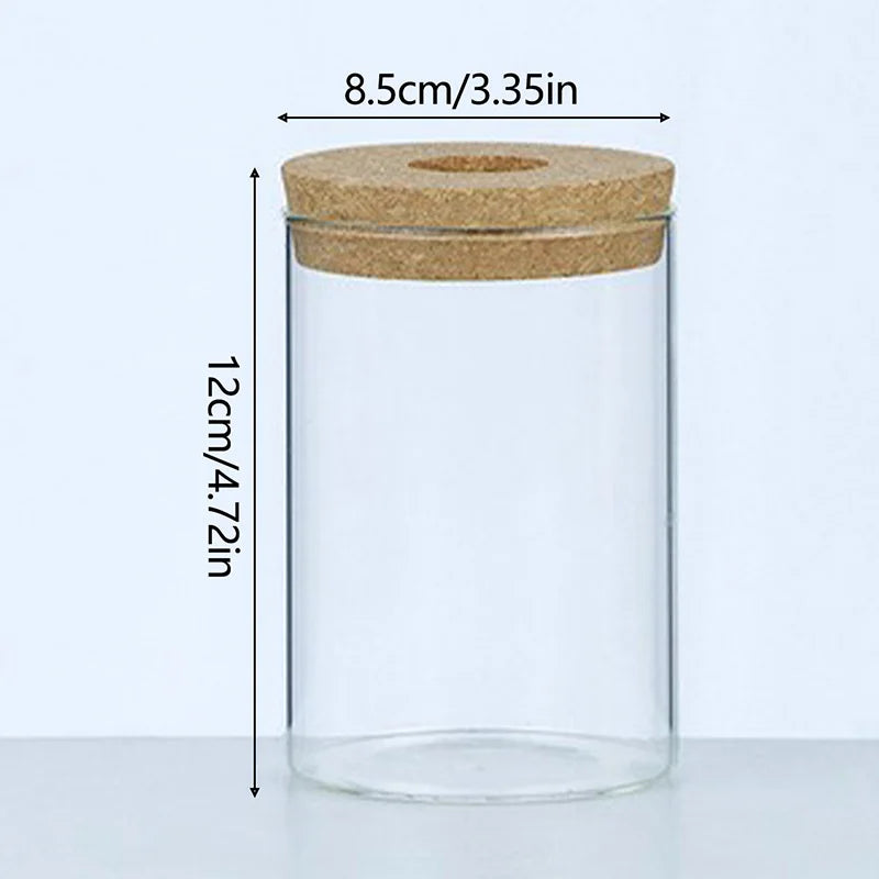 Transparent Hydroponic Flower Pot