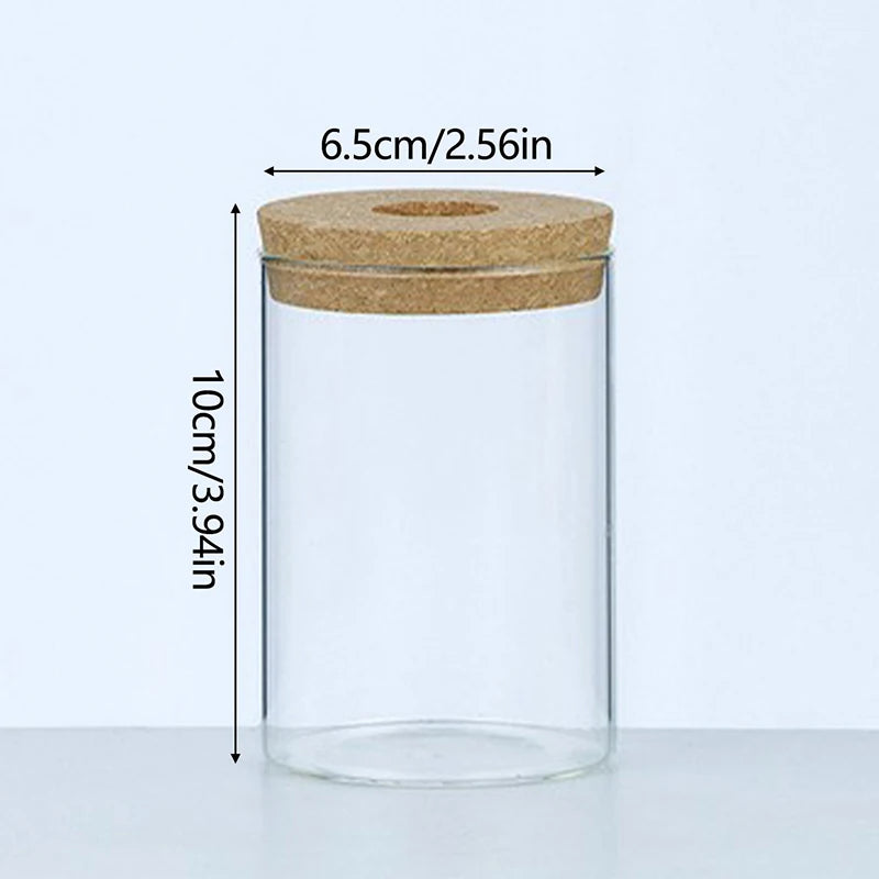 Transparent Hydroponic Flower Pot