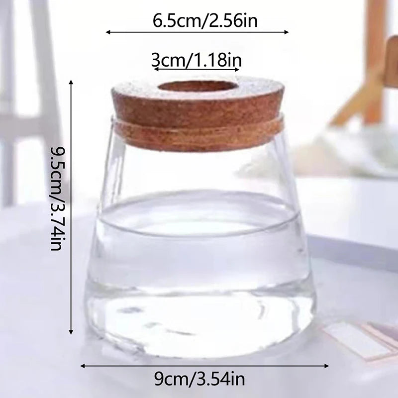 Transparent Hydroponic Flower Pot