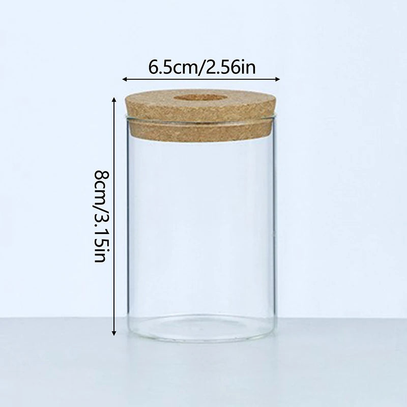 Transparent Hydroponic Flower Pot