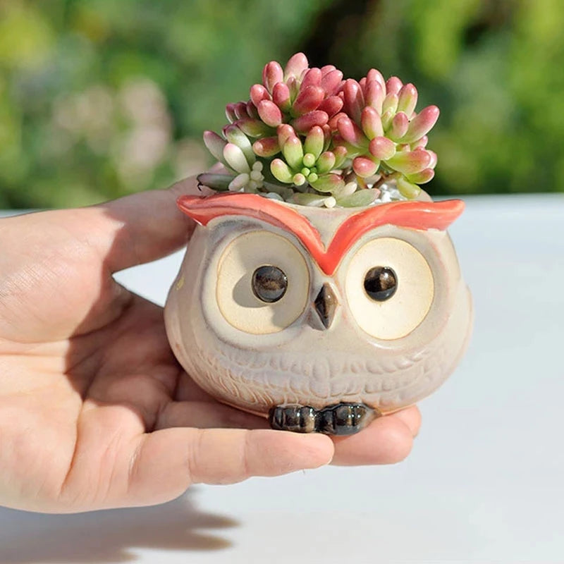 Adorable Owl Ceramic Flower Pot