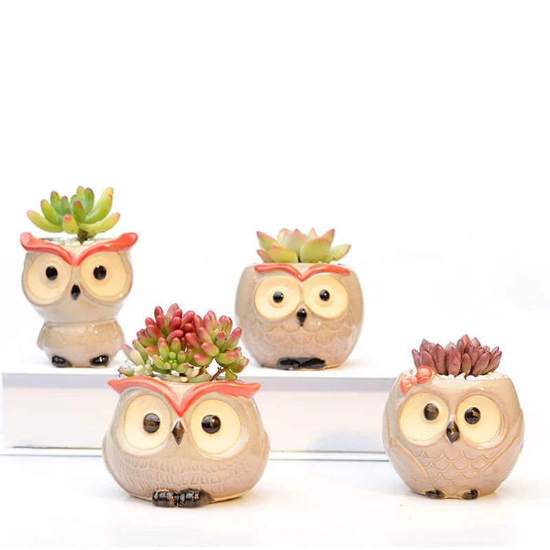 Adorable Owl Ceramic Flower Pot