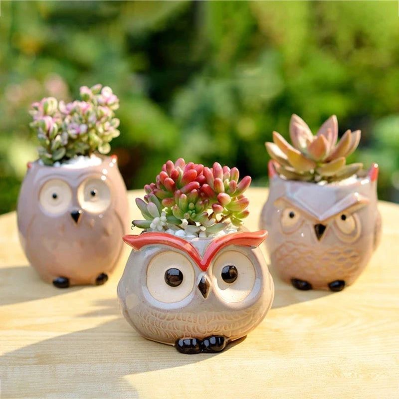 Adorable Owl Ceramic Flower Pot